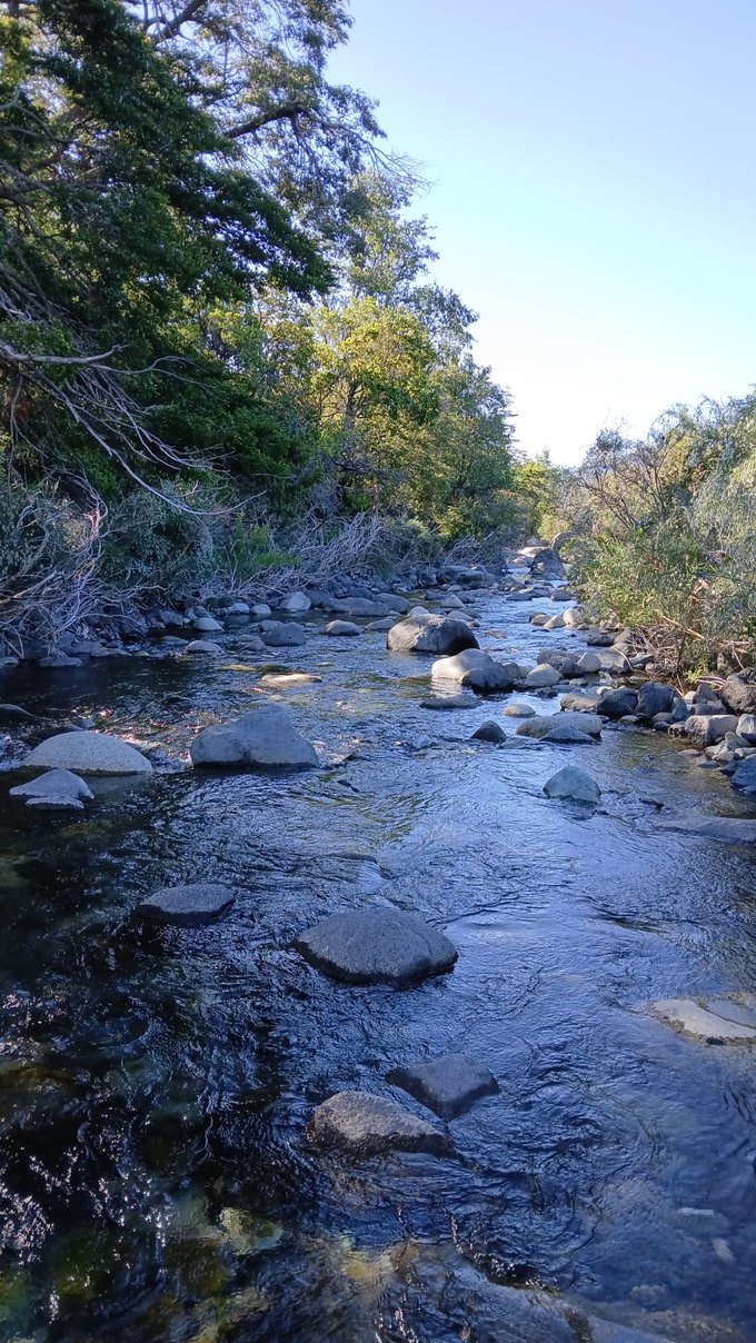 Estero Quillailebu