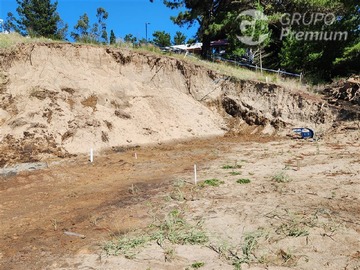 Imagen 10