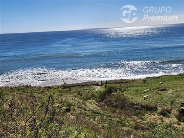 Imagen 9