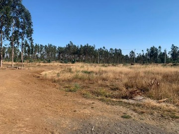 Venta / Parcela / Arauco