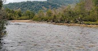 Venta / Parcela / Aysén