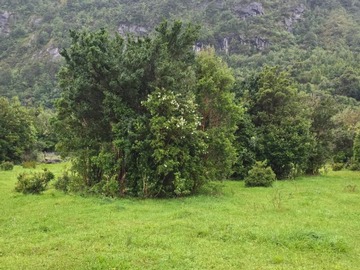Venta / Parcela / Aysén