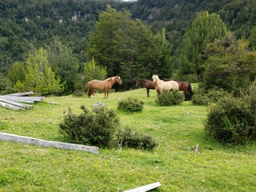 Imagen 21