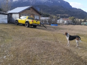 Imagen 6