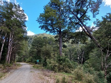 Venta / Parcela / Aysén
