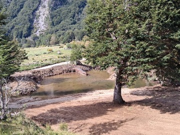 Imagen 5