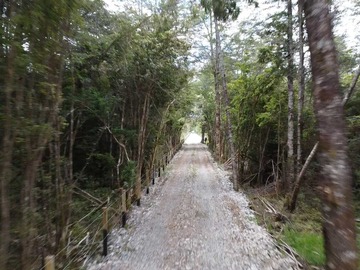 Imagen 13