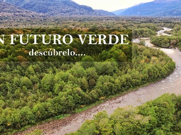 Imagen 5
