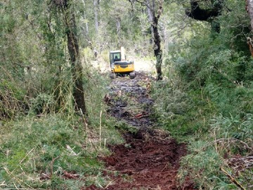 Imagen 6