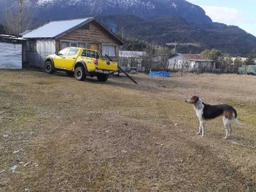 Imagen 9