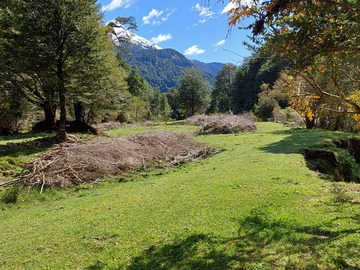 Venta / Parcela / Aysén