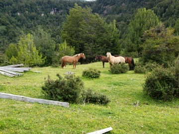 Imagen 21