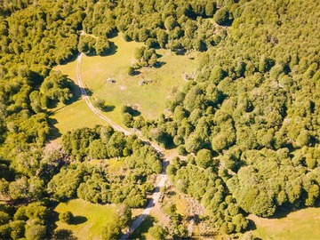 Venta / Parcela / Aysén