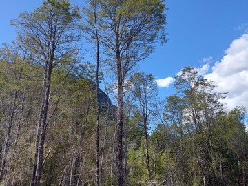 Venta / Parcela / Aysén