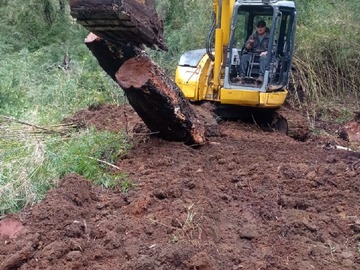 Imagen 3