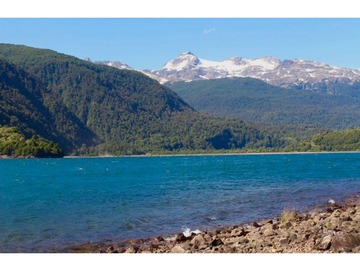 Imagen 14