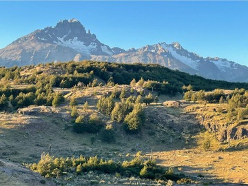 Venta / Parcela / Aysén
