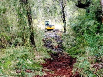 Imagen 10