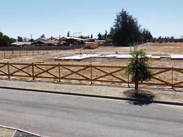 Imagen 8