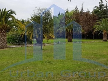 Imagen 8