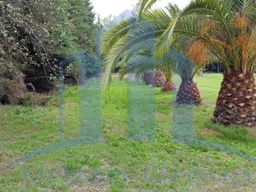 Imagen 15