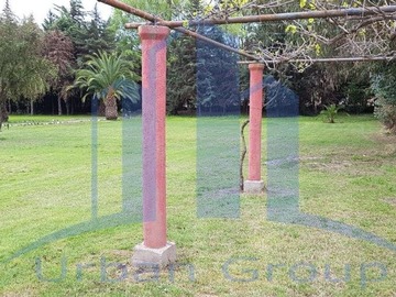 Imagen 6