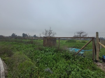 Venta / Parcela / Buin