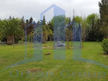 Imagen 5