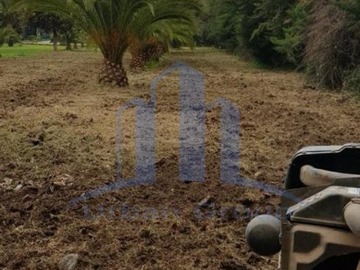 Imagen 17
