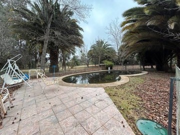 Imagen 22