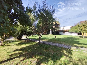 Imagen 8