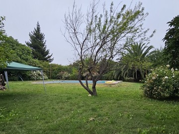 Imagen 16