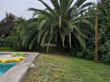 Imagen 18