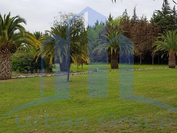 Imagen 10