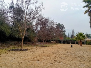 Imagen 28