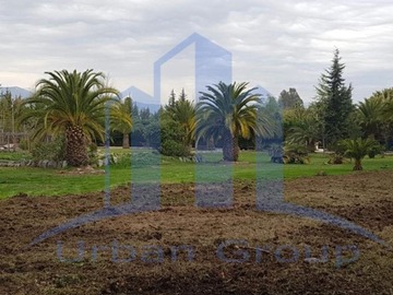 Imagen 18