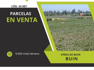 Venta / Parcela / Buin