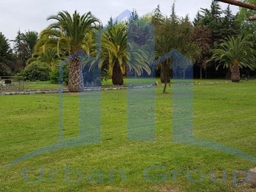 Imagen 7