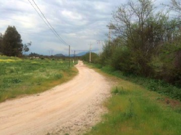 Imagen 7