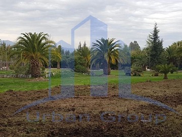 Imagen 19
