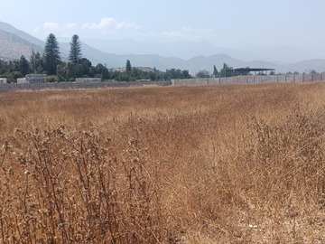 Venta / Parcela / Buin