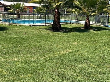 Imagen 10