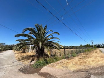 Venta / Parcela / Buin