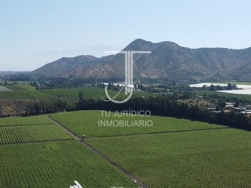 Imagen 6