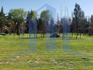 Imagen 22