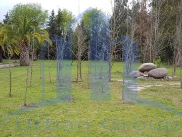 Imagen 28