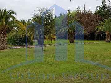 Imagen 10