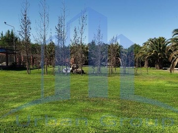 Imagen 26