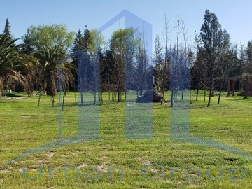 Imagen 23
