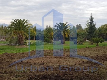 Imagen 19